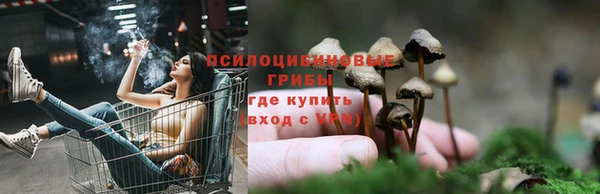 СК Магас