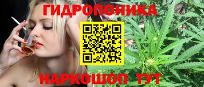 индика Апшеронск