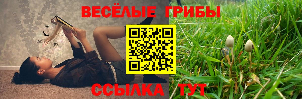 Галлюциногенные грибы MAGIC MUSHROOMS  Белорецк  Псилоцибиновые грибы MAGIC MUSHROOMS 